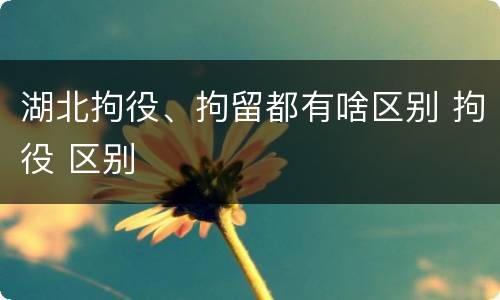 湖北拘役、拘留都有啥区别 拘役 区别