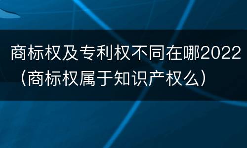 商标权及专利权不同在哪2022（商标权属于知识产权么）