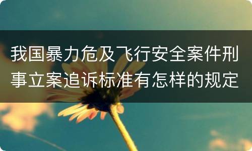 我国暴力危及飞行安全案件刑事立案追诉标准有怎样的规定