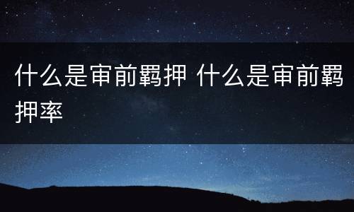 什么是审前羁押 什么是审前羁押率