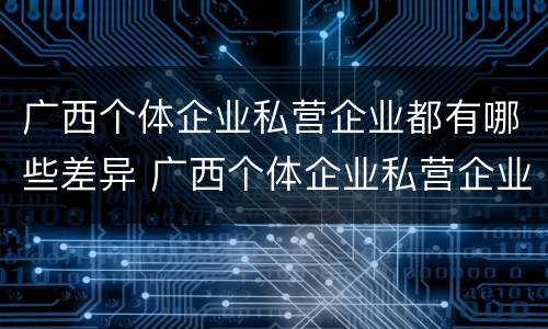 广西个体企业私营企业都有哪些差异 广西个体企业私营企业都有哪些差异呢
