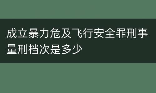成立暴力危及飞行安全罪刑事量刑档次是多少