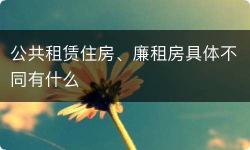 公共租赁住房、廉租房具体不同有什么
