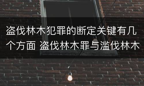 盗伐林木犯罪的断定关键有几个方面 盗伐林木罪与滥伐林木罪的关键区别是