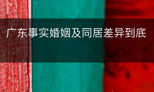 广东事实婚姻及同居差异到底
