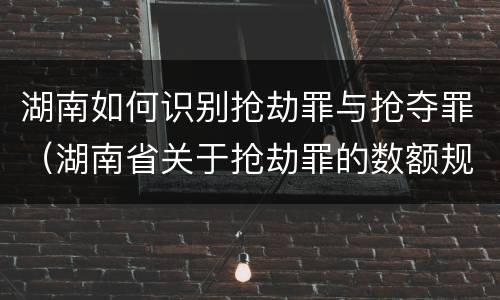 湖南如何识别抢劫罪与抢夺罪（湖南省关于抢劫罪的数额规定）