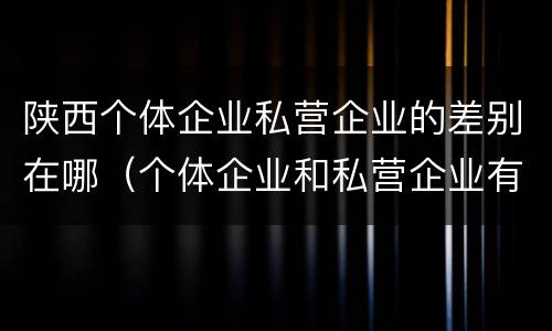 陕西个体企业私营企业的差别在哪（个体企业和私营企业有哪些）