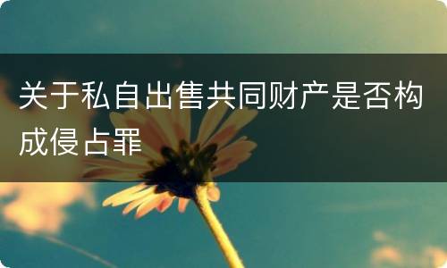 关于私自出售共同财产是否构成侵占罪