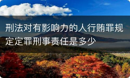刑法对有影响力的人行贿罪规定定罪刑事责任是多少