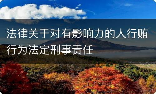 法律关于对有影响力的人行贿行为法定刑事责任
