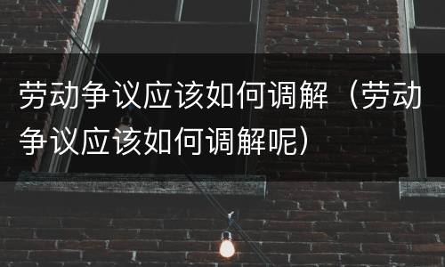 劳动争议应该如何调解（劳动争议应该如何调解呢）