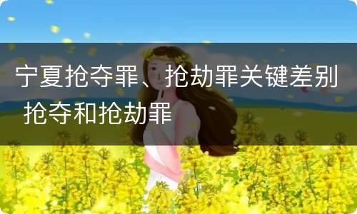 宁夏抢夺罪、抢劫罪关键差别 抢夺和抢劫罪