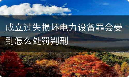 成立过失损坏电力设备罪会受到怎么处罚判刑