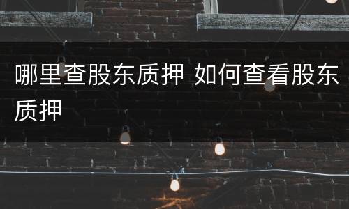 哪里查股东质押 如何查看股东质押