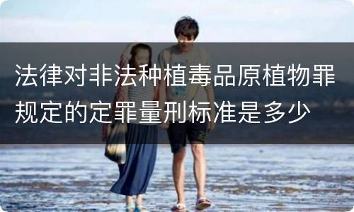 法律对非法种植毒品原植物罪规定的定罪量刑标准是多少