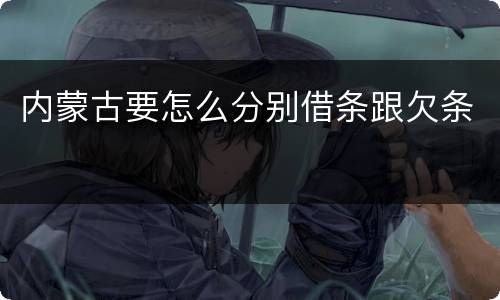 内蒙古要怎么分别借条跟欠条