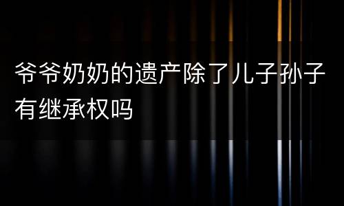 爷爷奶奶的遗产除了儿子孙子有继承权吗
