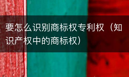 要怎么识别商标权专利权（知识产权中的商标权）