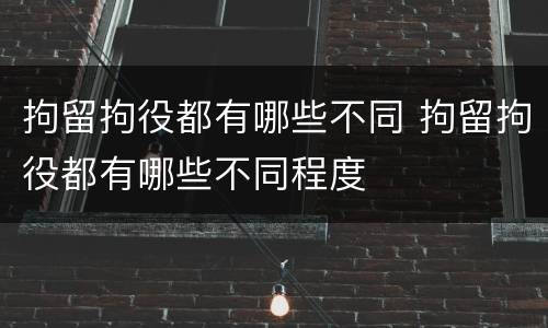 拘留拘役都有哪些不同 拘留拘役都有哪些不同程度