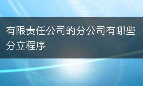 有限责任公司的分公司有哪些分立程序
