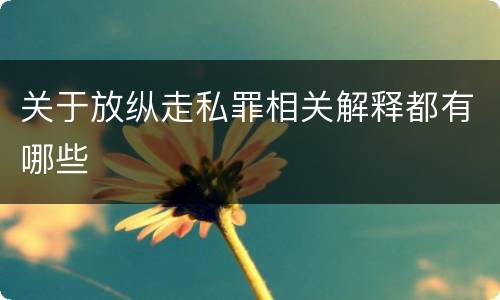 关于放纵走私罪相关解释都有哪些