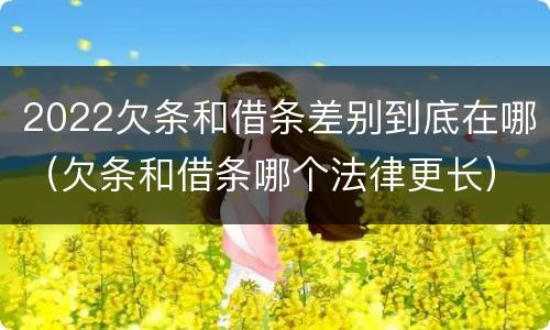 2022欠条和借条差别到底在哪（欠条和借条哪个法律更长）