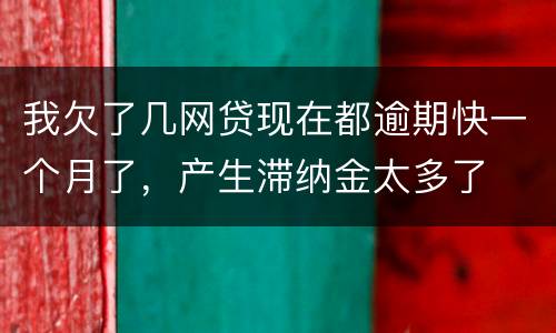 我欠了几网贷现在都逾期快一个月了，产生滞纳金太多了