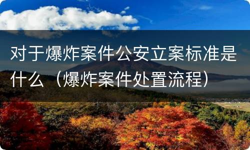 对于爆炸案件公安立案标准是什么（爆炸案件处置流程）