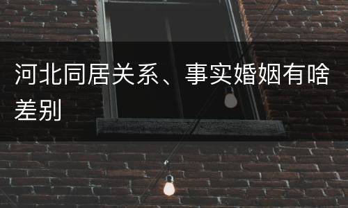 河北同居关系、事实婚姻有啥差别