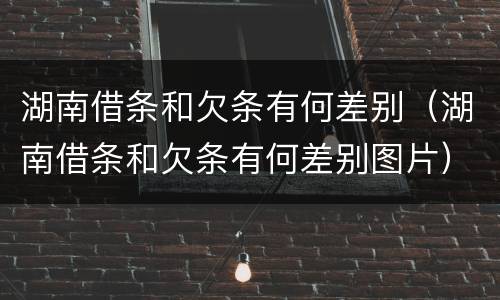 湖南借条和欠条有何差别（湖南借条和欠条有何差别图片）