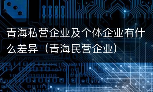 青海私营企业及个体企业有什么差异（青海民营企业）