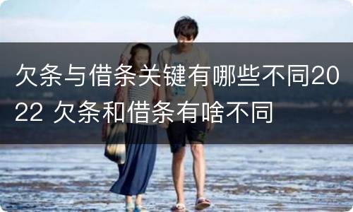 欠条与借条关键有哪些不同2022 欠条和借条有啥不同