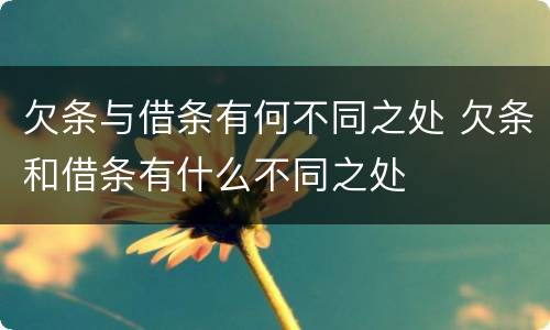 欠条与借条有何不同之处 欠条和借条有什么不同之处