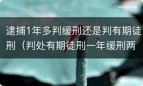 逮捕1年多判缓刑还是判有期徒刑（判处有期徒刑一年缓刑两年要坐牢吗）
