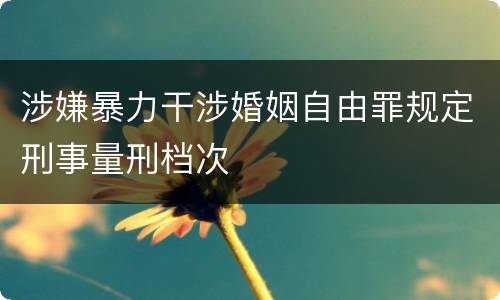 涉嫌暴力干涉婚姻自由罪规定刑事量刑档次