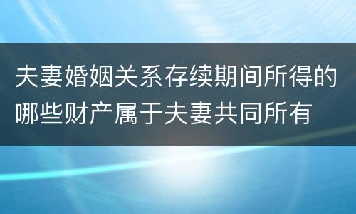 夫妻婚姻关系存续期间所得的哪些财产属于夫妻共同所有