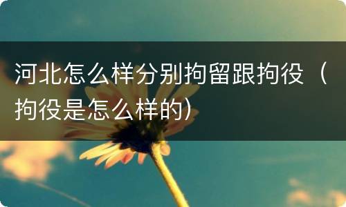 河北怎么样分别拘留跟拘役（拘役是怎么样的）