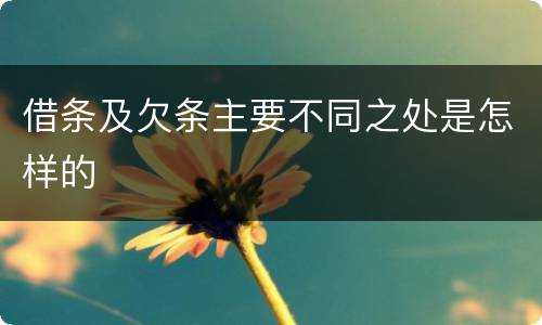 借条及欠条主要不同之处是怎样的