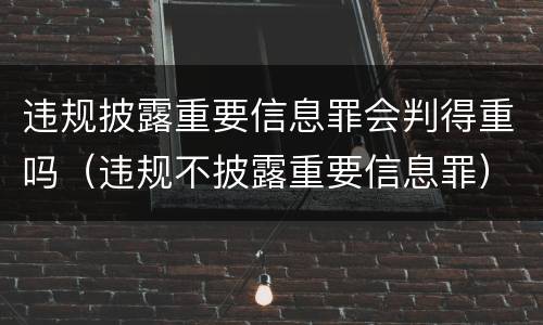 违规披露重要信息罪会判得重吗（违规不披露重要信息罪）