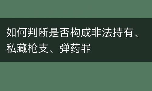 如何判断是否构成非法持有、私藏枪支、弹药罪