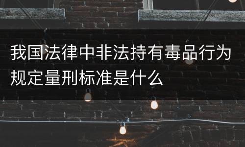 我国法律中非法持有毒品行为规定量刑标准是什么