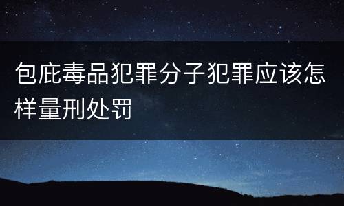 包庇毒品犯罪分子犯罪应该怎样量刑处罚