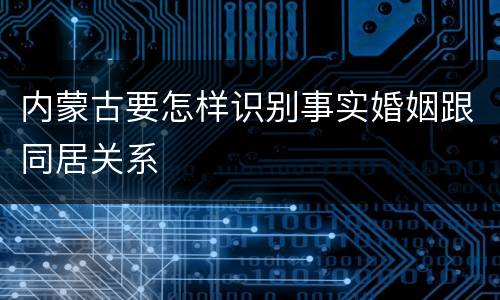 内蒙古要怎样识别事实婚姻跟同居关系