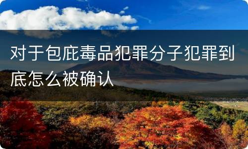 对于包庇毒品犯罪分子犯罪到底怎么被确认
