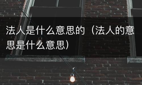 法人是什么意思的（法人的意思是什么意思）