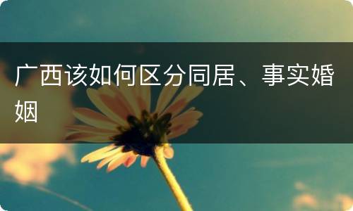 广西该如何区分同居、事实婚姻