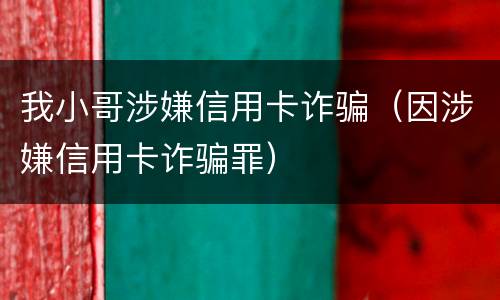 我小哥涉嫌信用卡诈骗（因涉嫌信用卡诈骗罪）
