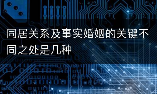 同居关系及事实婚姻的关键不同之处是几种