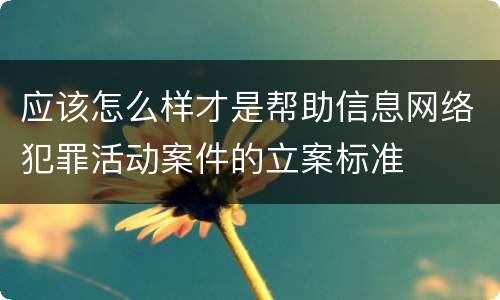 应该怎么样才是帮助信息网络犯罪活动案件的立案标准