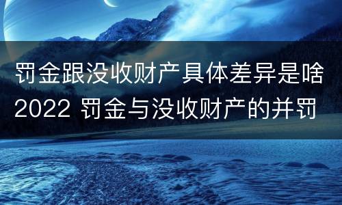罚金跟没收财产具体差异是啥2022 罚金与没收财产的并罚